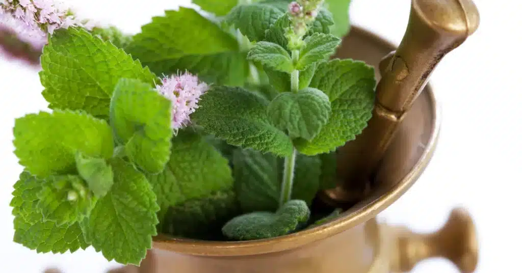Muddle with peppermint leaves