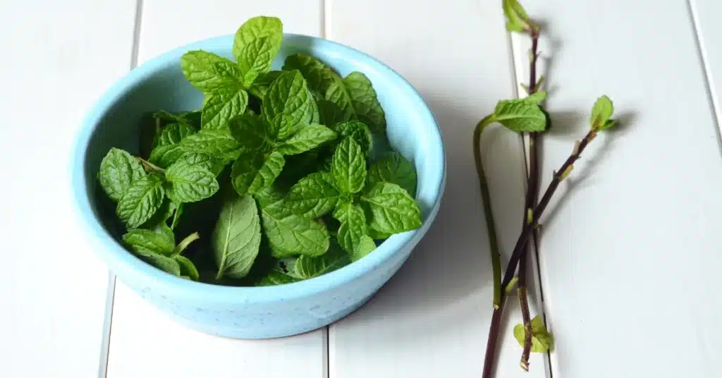 Fresh peppermint leaves are essential to prepare a good quality oil for hair growth.