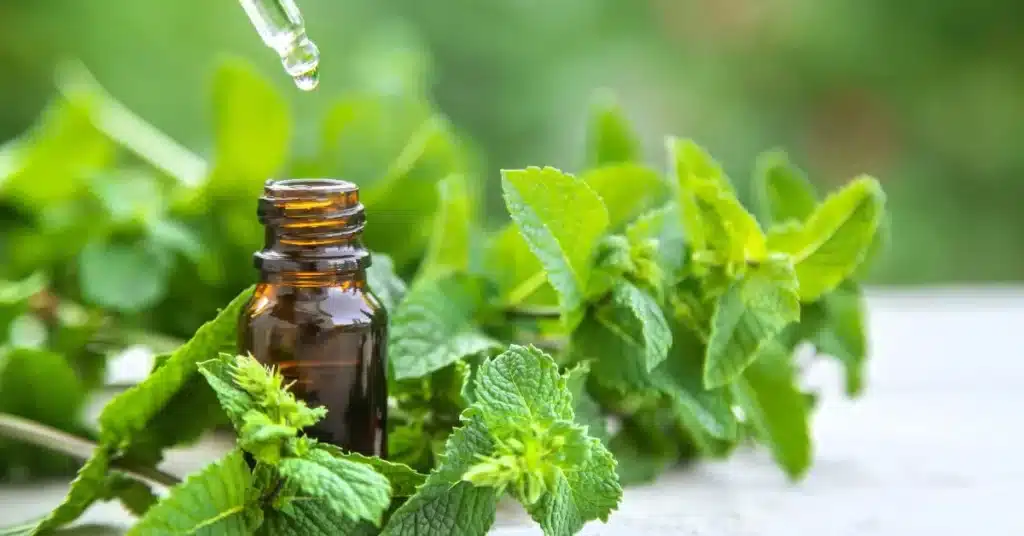 Peppermint oil for hair