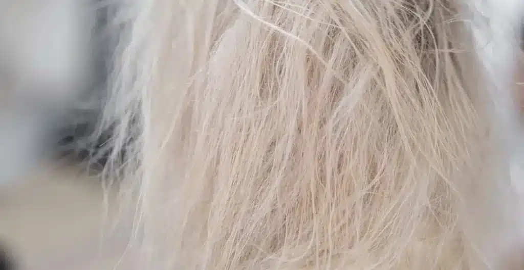 Rough hair