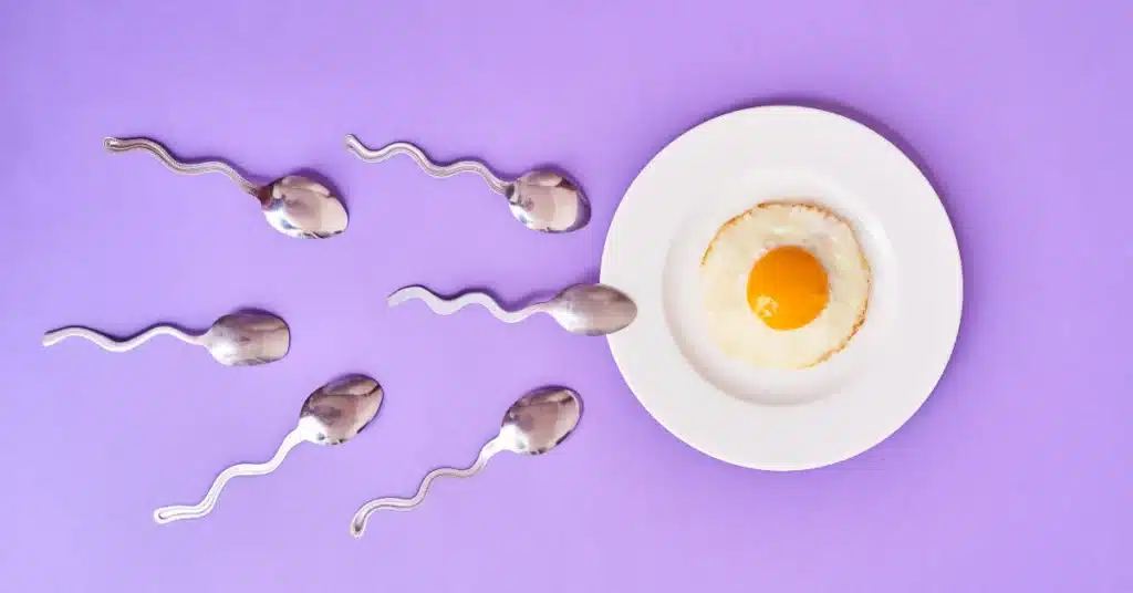 Conception of fertilization