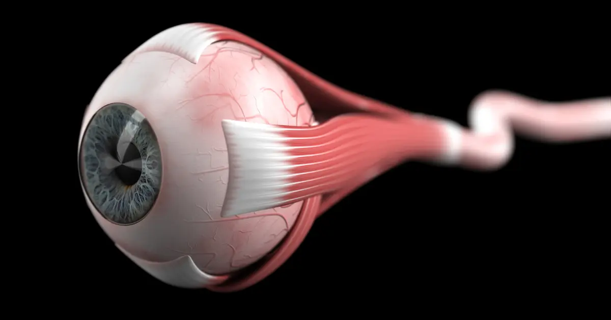 Eyeball image
