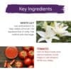 Revitalizing Night Cream 50 gm