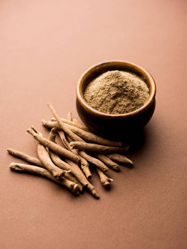 Ashwagandha or Aswaganda OR Indian Ginseng is an Ayurveda medicine in stem and powder form. Isolated on plain background. selective focus