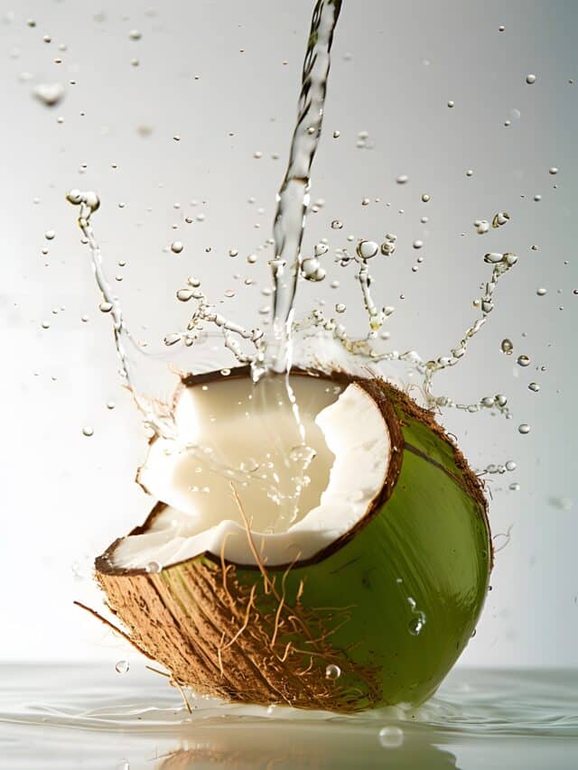 splashing coconut water is delicately poured into a coconut. The coconut water gracefully,