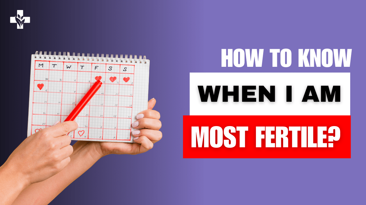 Precise Ovulation Calculator for Most Fertile Days