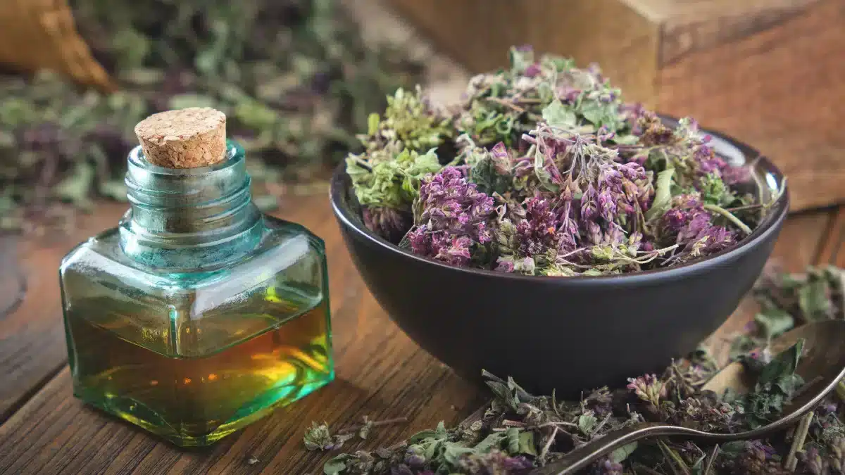 Oregano Oil for UTI A Natural Remedy Worth Exploring