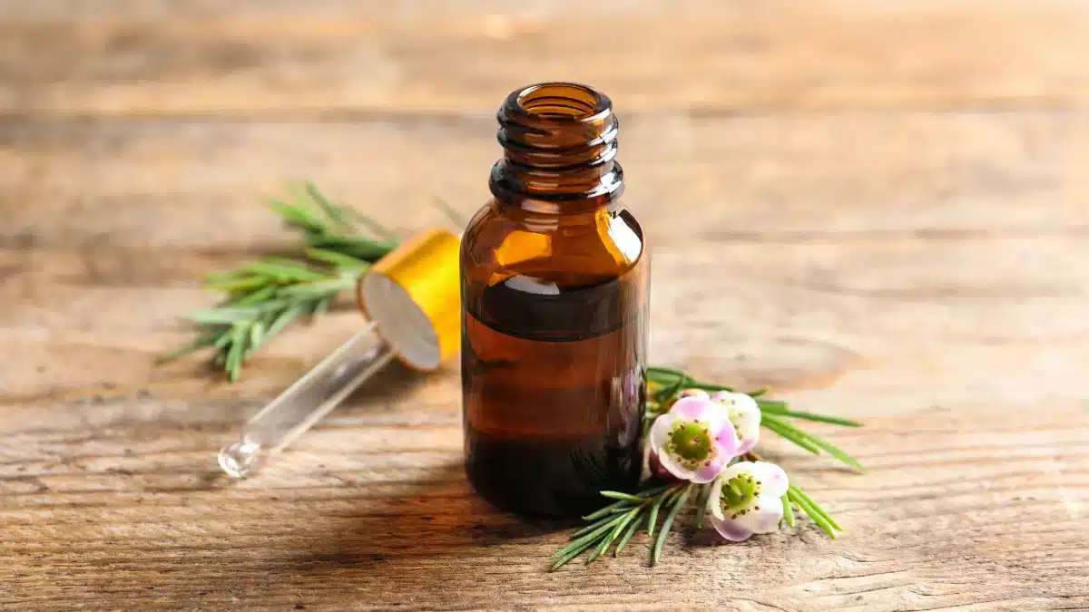 tea tree oil for dry scalp